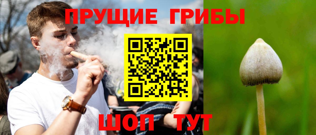 Дедовск  Псилоцибиновые грибы Psilocybine cubensis  Псилоцибиновые грибы Psilocybe  Вход с VPN 